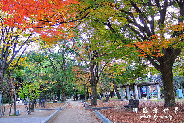 廣島平和公園P7700 088.JPG