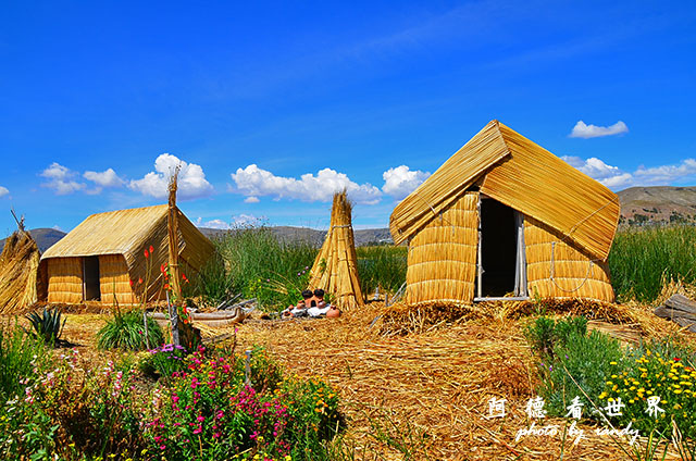 puno2D7 041.JPG puno2D7 041.JPG