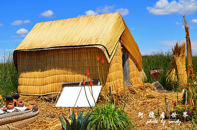 puno2D7 061.JPG puno2D7 061.JPG