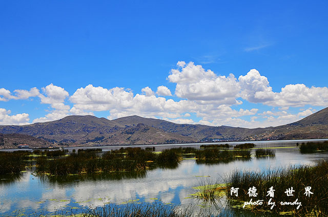 puno2D7 124.JPG puno2D7 124.JPG