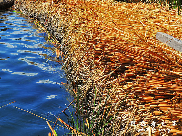 Puno2P77 179.JPG Puno2P77 179.JPG