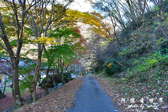 帝釋峽D810 141.JPG 帝釋峽D810 141.JPG