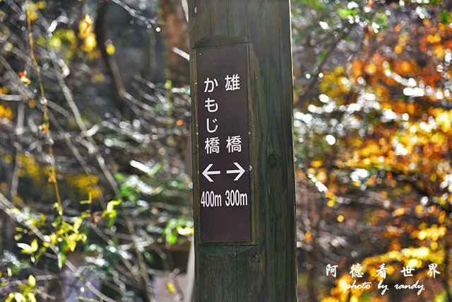 帝釋峽D810 174.JPG