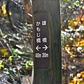 帝釋峽D810 174.JPG