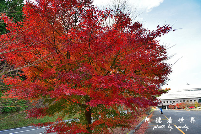 帝釋峽D810 201.JPG 帝釋峽D810 201.JPG