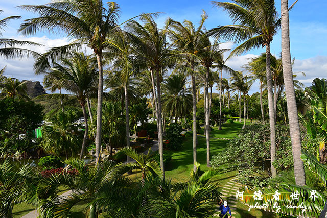 白沙灣-風吹砂D810 032.JPG 白沙灣-風吹砂D810 032.JPG