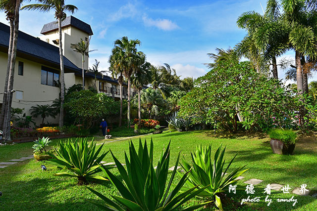 白沙灣-風吹砂D810 050.JPG 白沙灣-風吹砂D810 050.JPG