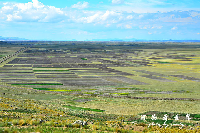 puno2D7 146.JPG puno2D7 146.JPG