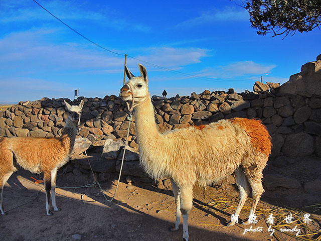 Puno2P77 454.JPG