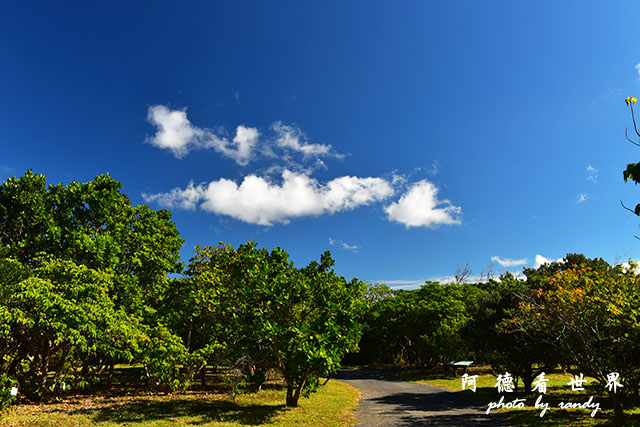 龍鑾潭1214D810 001.JPG 龍鑾潭1214D810 001.JPG