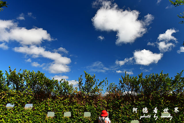 龍鑾潭1214D810 008.JPG 龍鑾潭1214D810 008.JPG