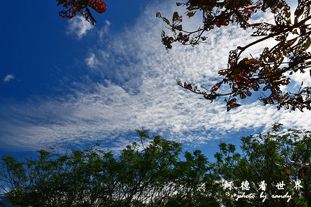 龍鑾潭1214D810 009.JPG 龍鑾潭1214D810 009.JPG