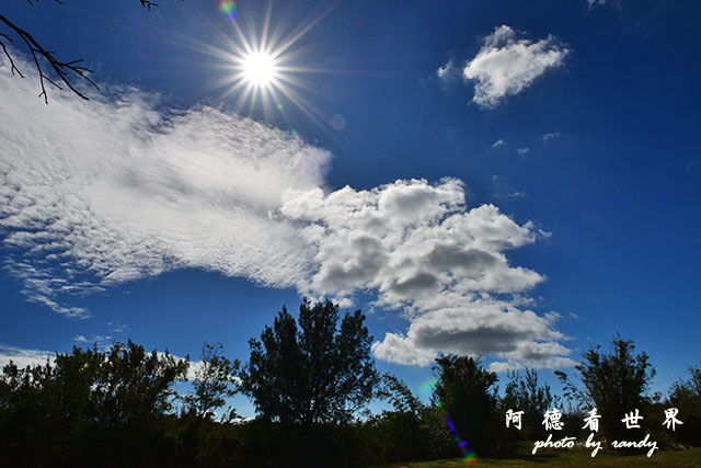 龍鑾潭1214D810 012.JPG 龍鑾潭1214D810 012.JPG