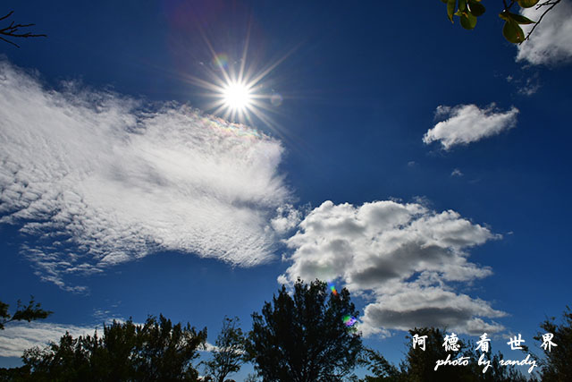 龍鑾潭1214D810 013.JPG 龍鑾潭1214D810 013.JPG