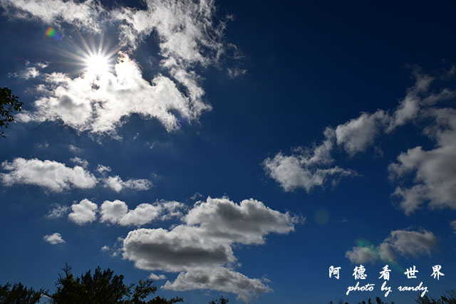 龍鑾潭1214D810 025.JPG 龍鑾潭1214D810 025.JPG