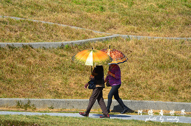 龍鑾潭1214D7000 001 (3).JPG