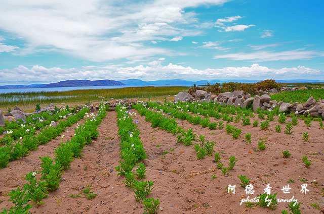 puno3D7 021.JPG