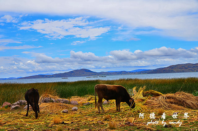 puno3D7 025.JPG