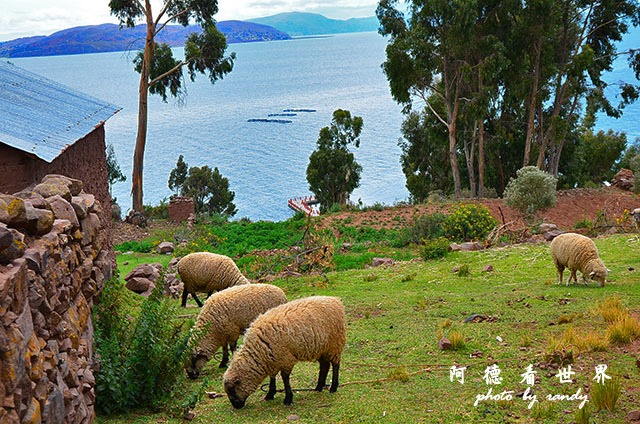 puno3D7 083.JPG puno3D7 083.JPG