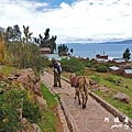 puno4P77 035.JPG