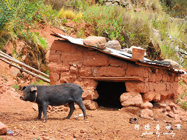 puno4P77 214.JPG puno4P77 214.JPG