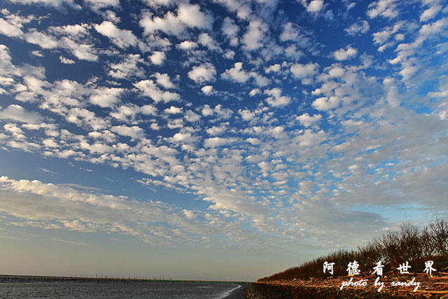 鰲鼓夕彩1208D810 046.JPG 鰲鼓夕彩1208D810 046.JPG