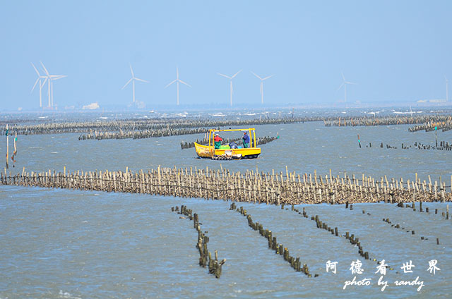 鰲鼓溼地1208D7000 044.JPG 鰲鼓溼地1208D7000 044.JPG