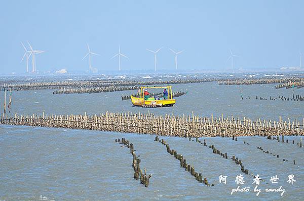 鰲鼓溼地1208D7000 044.JPG