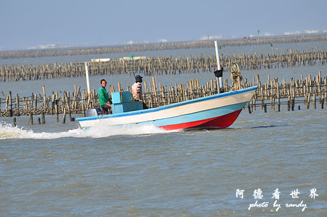 鰲鼓溼地1208D7000 053.JPG