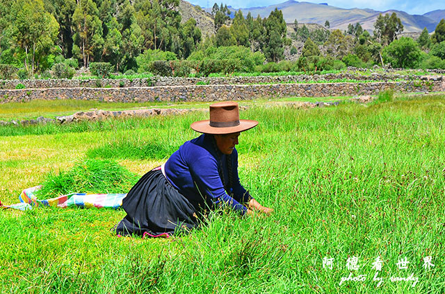 cuzco1D7 237.JPG cuzco1D7 237.JPG