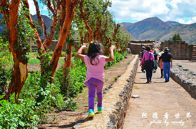 cuzco1D7 247.JPG cuzco1D7 247.JPG