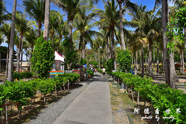 白沙灣-風吹砂D810 121.JPG 白沙灣-風吹砂D810 121.JPG