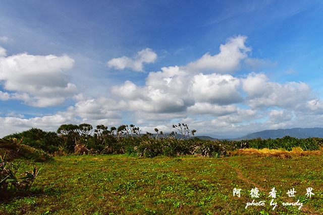 白沙灣-風吹砂D810 141.JPG