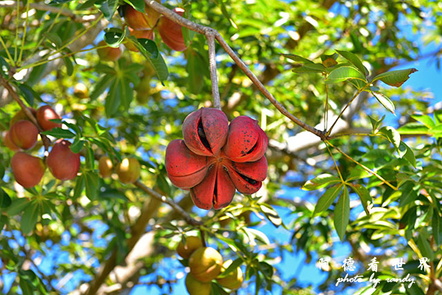 龍鑾潭1214D810 029.JPG 龍鑾潭1214D810 029.JPG