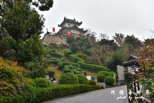 島波海道D810 009.JPG 島波海道D810 009.JPG