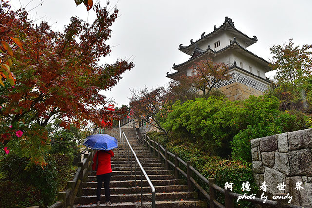 島波海道D810 020.JPG 島波海道D810 020.JPG
