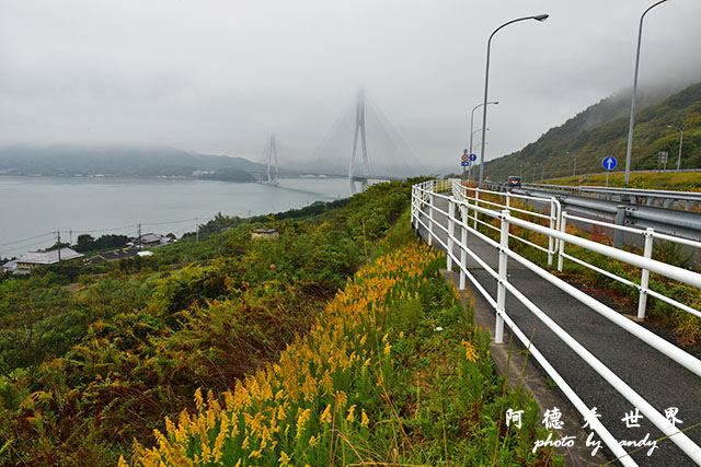 島波海道D810 105.JPG