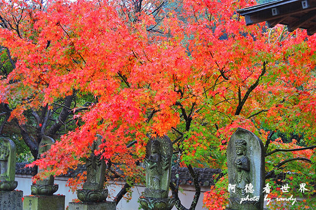 島波海道P7700 070.JPG 島波海道P7700 070.JPG