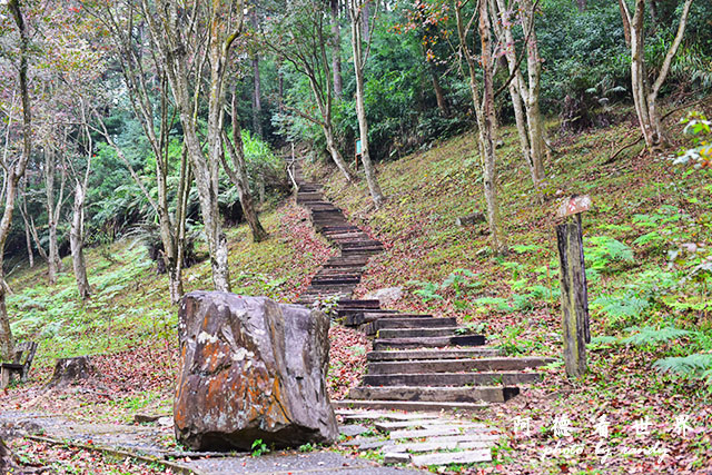 惠蓀林場1217D810 018.JPG