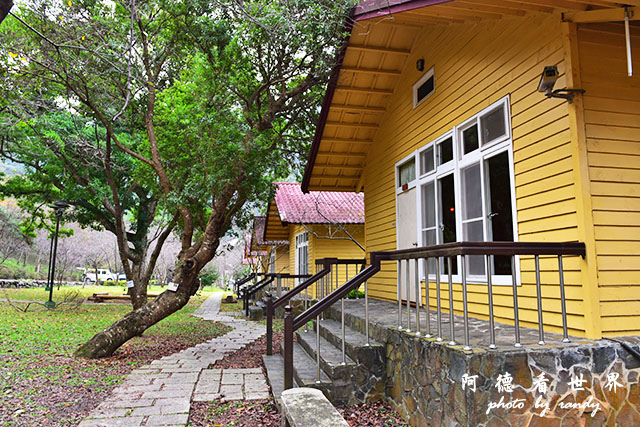 惠蓀林場1217D810 035.JPG 惠蓀林場1217D810 035.JPG