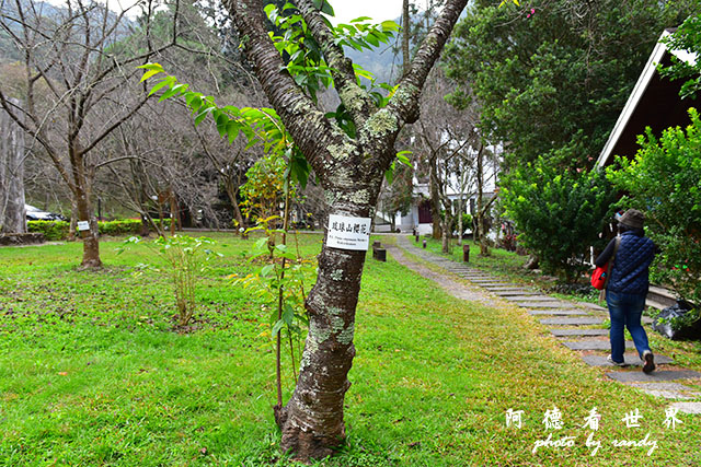 惠蓀林場1217D810 039.JPG 惠蓀林場1217D810 039.JPG