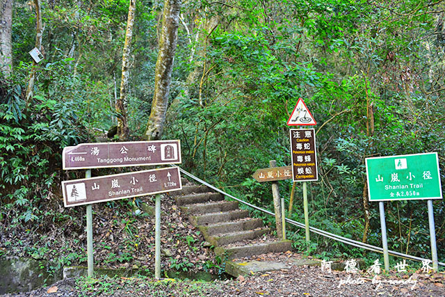 惠蓀林場1217D810 053.JPG 惠蓀林場1217D810 053.JPG