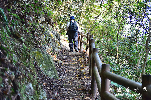 惠蓀林場1217D810 060.JPG 惠蓀林場1217D810 060.JPG