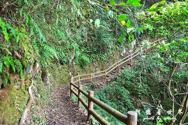 惠蓀林場1217D810 057.JPG 惠蓀林場1217D810 057.JPG