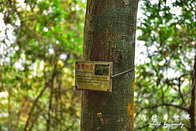 惠蓀林場1217D810 064.JPG 惠蓀林場1217D810 064.JPG