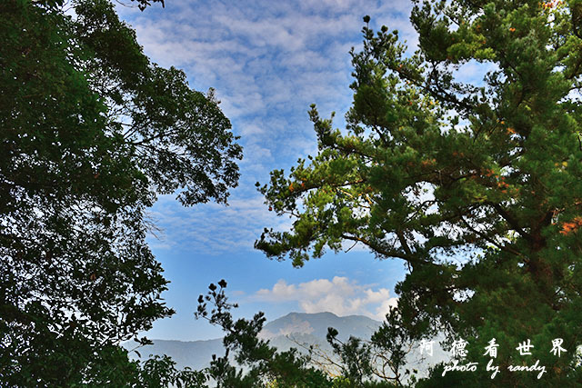 惠蓀林場1217D810 077.JPG 惠蓀林場1217D810 077.JPG