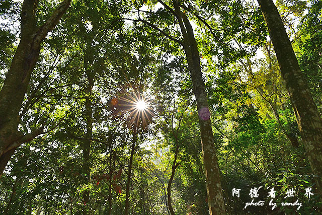 惠蓀林場1217D810 086.JPG 惠蓀林場1217D810 086.JPG