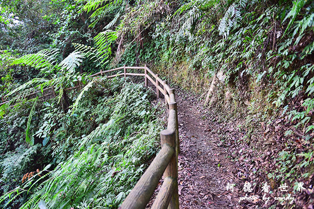 惠蓀林場1217D810 080.JPG 惠蓀林場1217D810 080.JPG