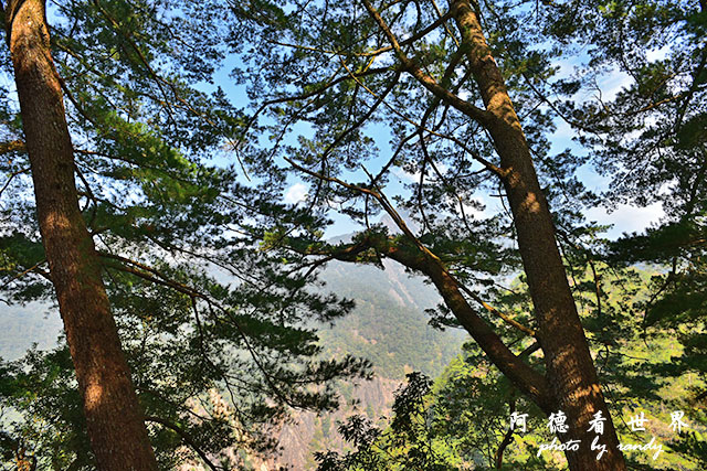 惠蓀林場1217D810 087.JPG 惠蓀林場1217D810 087.JPG