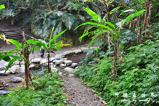 惠蓀林場1217D810 108.JPG 惠蓀林場1217D810 108.JPG